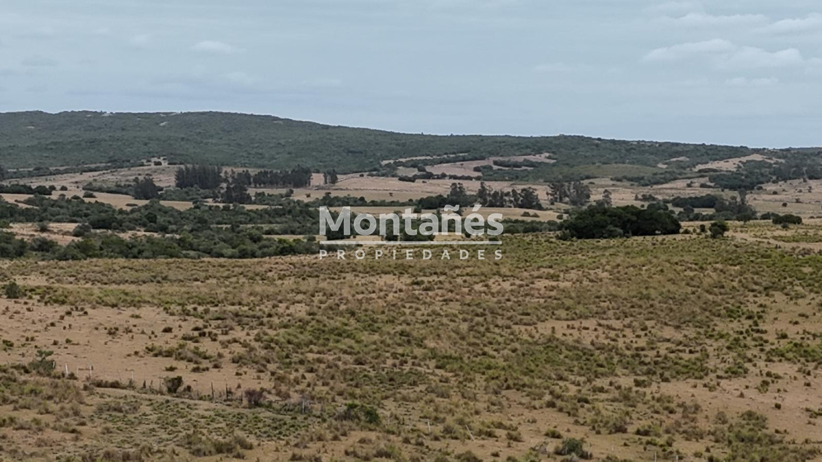 Chacra ID.10498 - 🌿 Chacra de 5 ha a minutos de Pueblo Garzón | Alta plusvalía