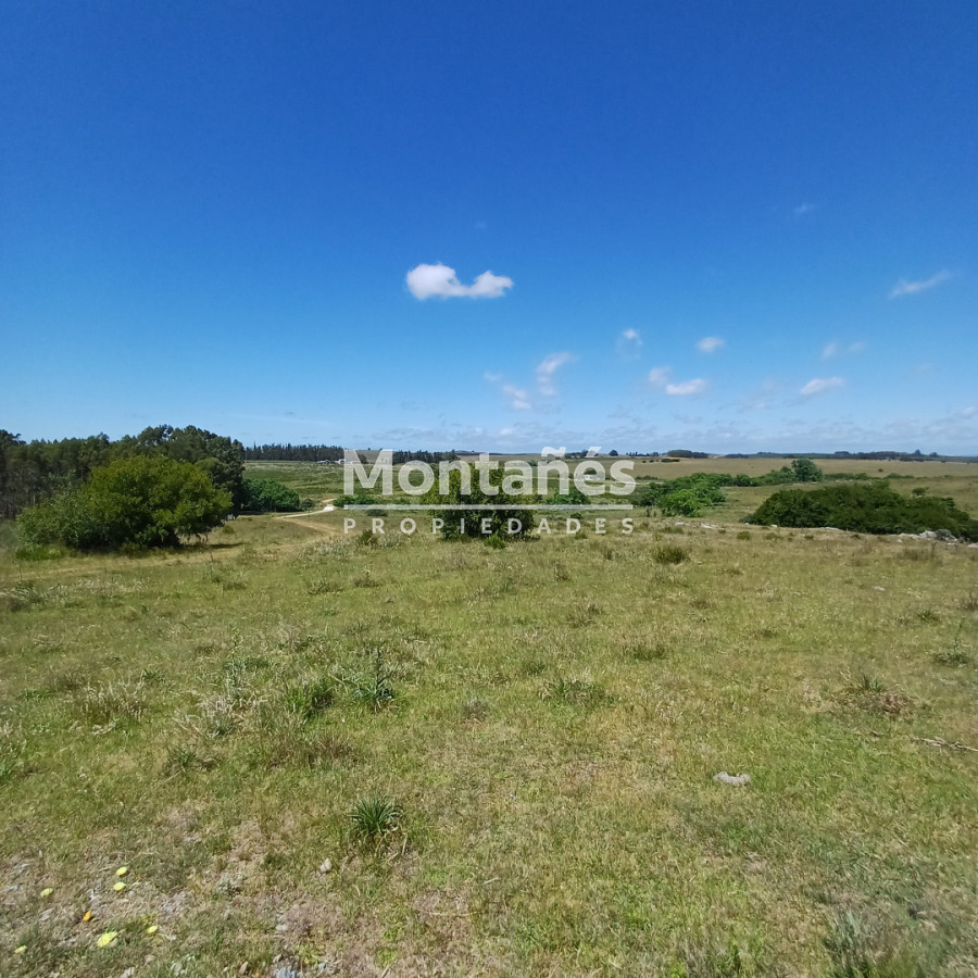 Chacra ID.10478 - Chacras de 3 Has. en Auge: La Oportunidad Natural. 🌳