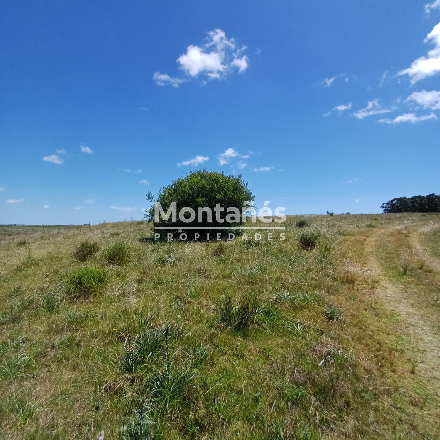 Chacra ID.10478 - Chacras de 3 Has. en Auge: La Oportunidad Natural. 🌳