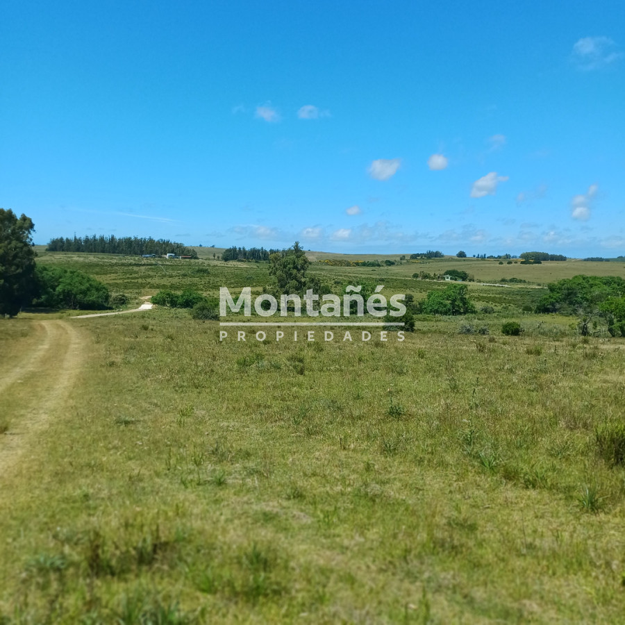 Chacra ID.10478 - Chacras de 3 Has. en Auge: La Oportunidad Natural. 🌳