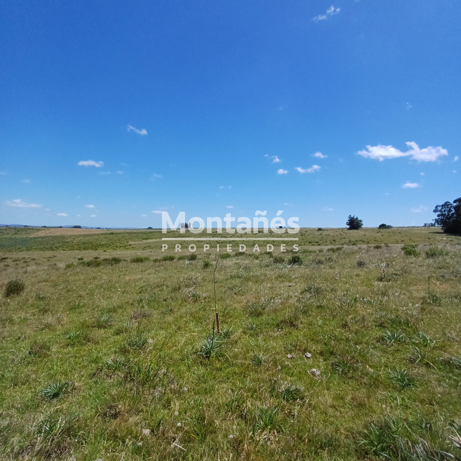 Chacra ID.10478 - Chacras de 3 Has. en Auge: La Oportunidad Natural. 🌳