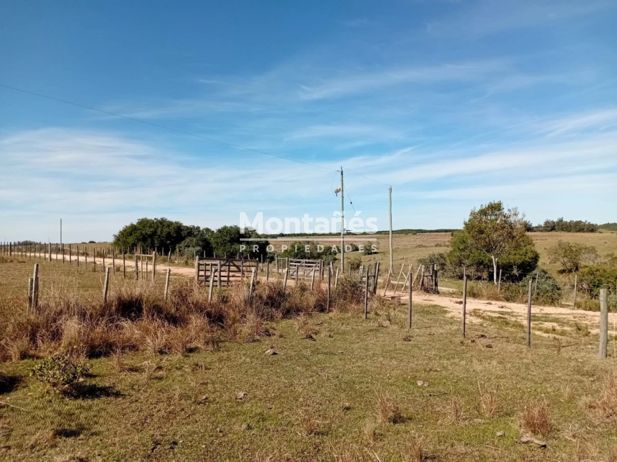 Chacra ID.10498 - Oportunidad de Inversión en Garzón: 5 Hectáreas de Alto Potencial