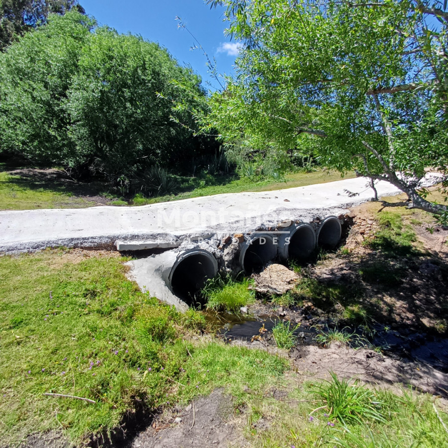 Chacra ID.10478 - Chacras de 3 Has. en Auge: La Oportunidad Natural. 🌳