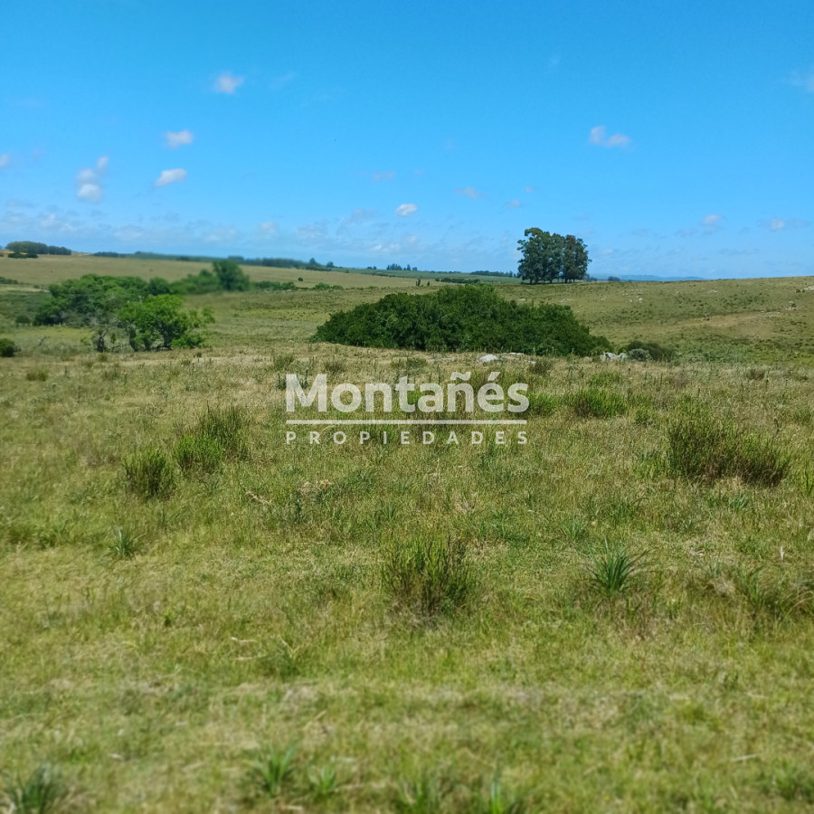 Chacra ID.10478 - Chacras de 3 Has. en Auge: La Oportunidad Natural. 🌳