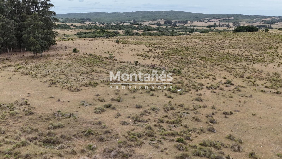 Chacra ID.10498 - 🌿 Chacra de 5 ha a minutos de Pueblo Garzón | Alta plusvalía