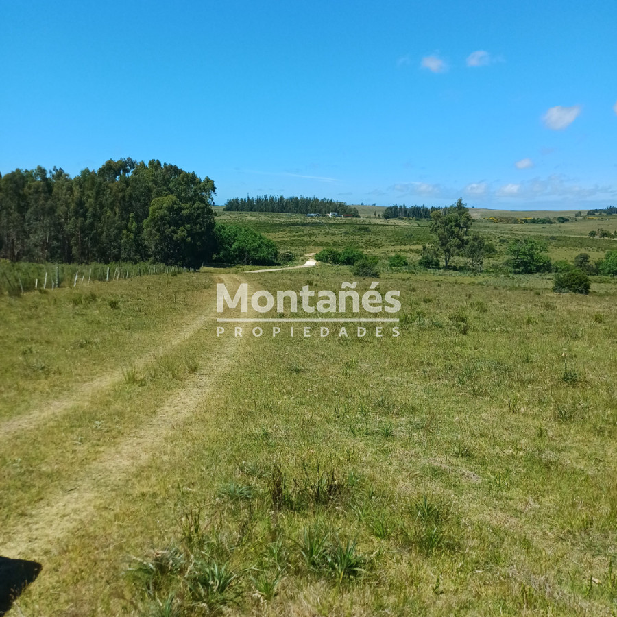 Chacra ID.10478 - Chacras de 3 Has. en Auge: La Oportunidad Natural. 🌳