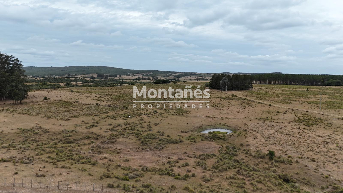 Chacra ID.10498 - 🌿 Chacra de 5 ha a minutos de Pueblo Garzón | Alta plusvalía