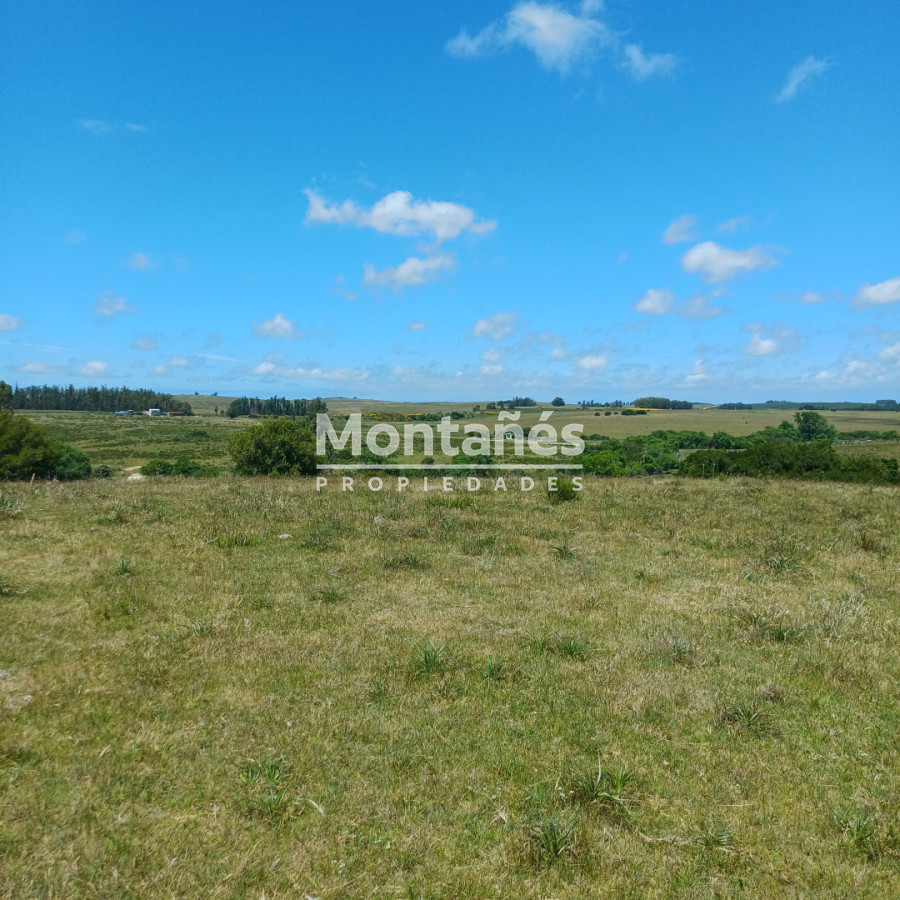 Chacra ID.10478 - Chacras de 3 Has. en Auge: La Oportunidad Natural. 🌳