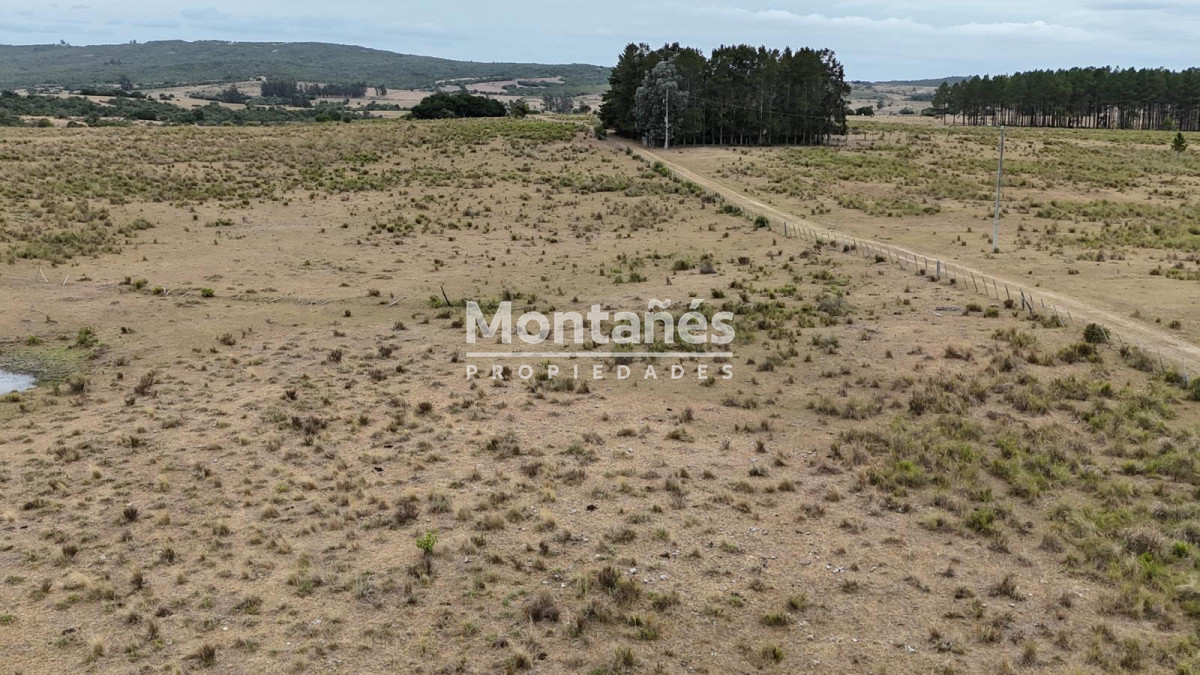 Chacra ID.10498 - 🌿 Chacra de 5 ha a minutos de Pueblo Garzón | Alta plusvalía