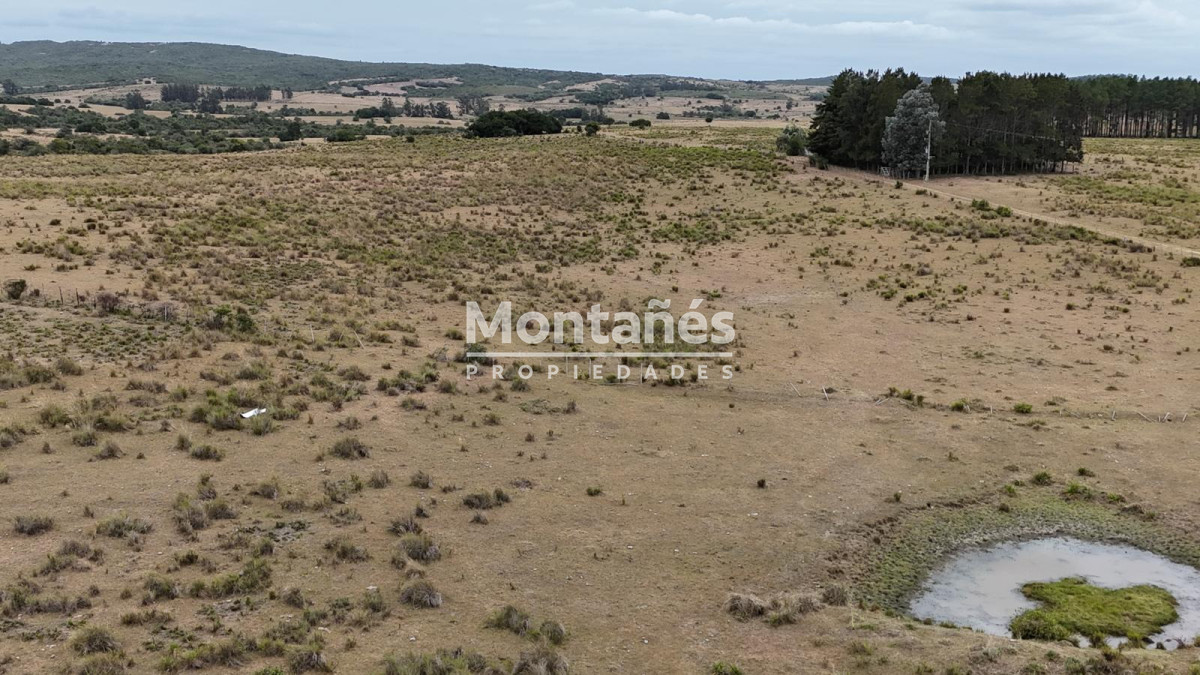 Chacra ID.10498 - 🌿 Chacra de 5 ha a minutos de Pueblo Garzón | Alta plusvalía