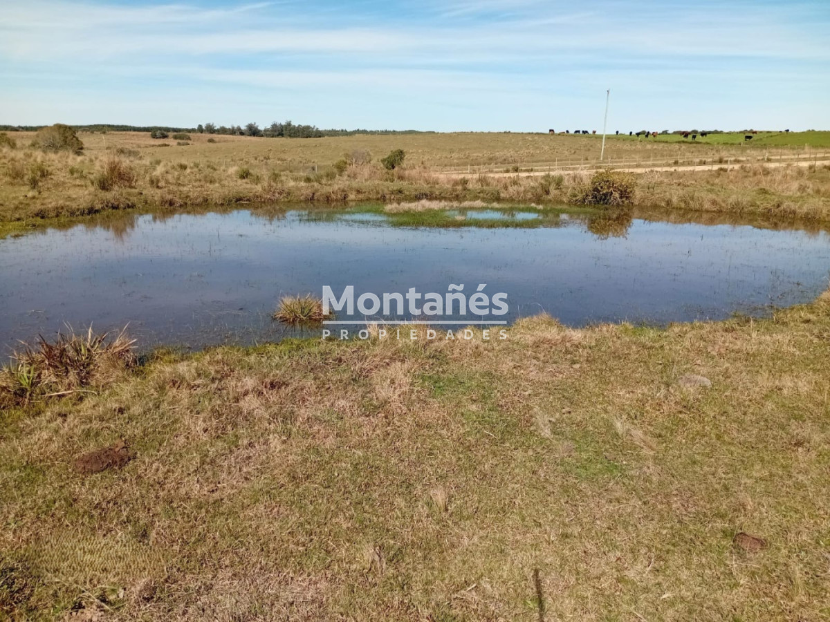 Chacra ID.10498 - 🌿 Chacra de 5 ha a minutos de Pueblo Garzón | Alta plusvalía