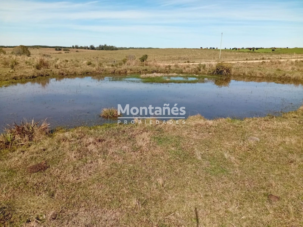 Chacra ID.10498 - Oportunidad de Inversión en Garzón: 5 Hectáreas de Alto Potencial