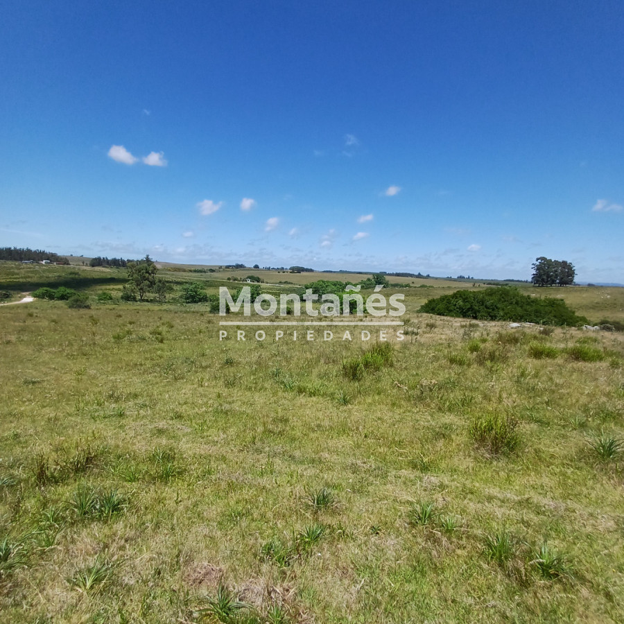 Chacra ID.10478 - Chacras de 3 Has. en Auge: La Oportunidad Natural. 🌳