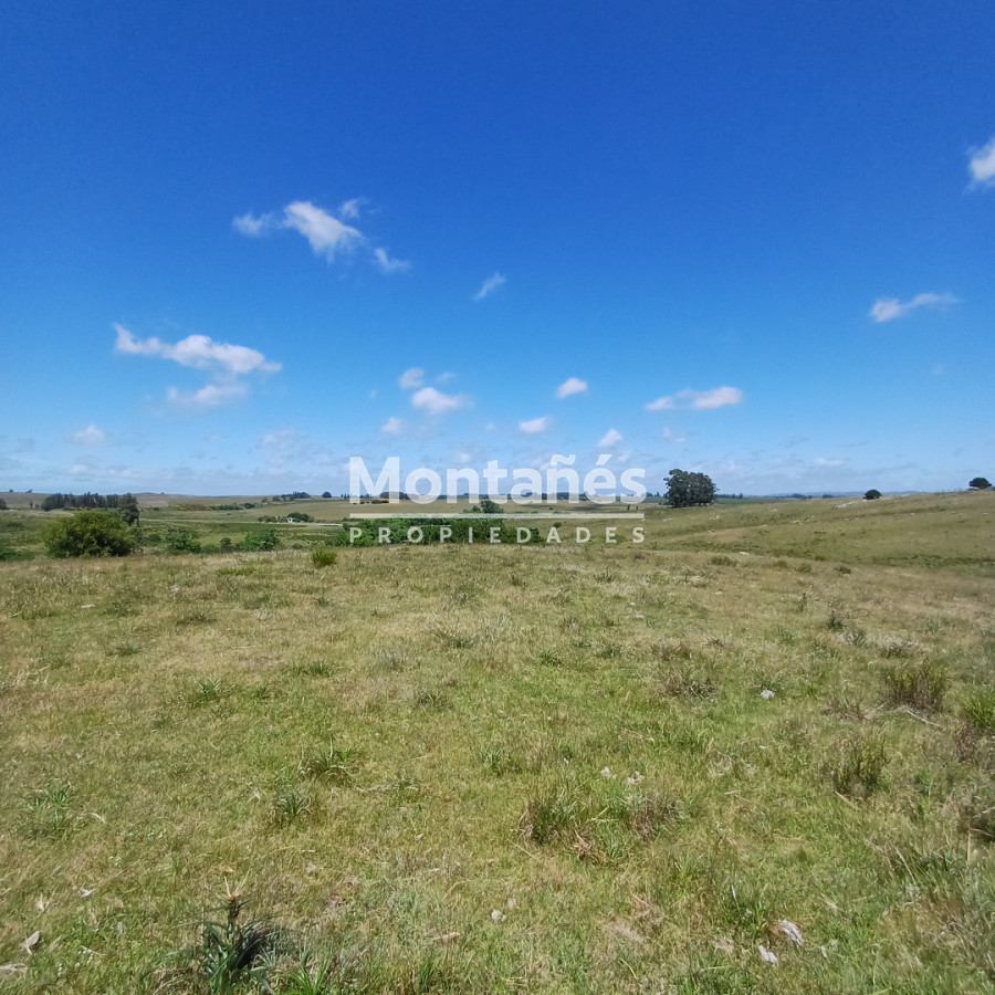 Chacra ID.10478 - Chacras de 3 Has. en Auge: La Oportunidad Natural. 🌳