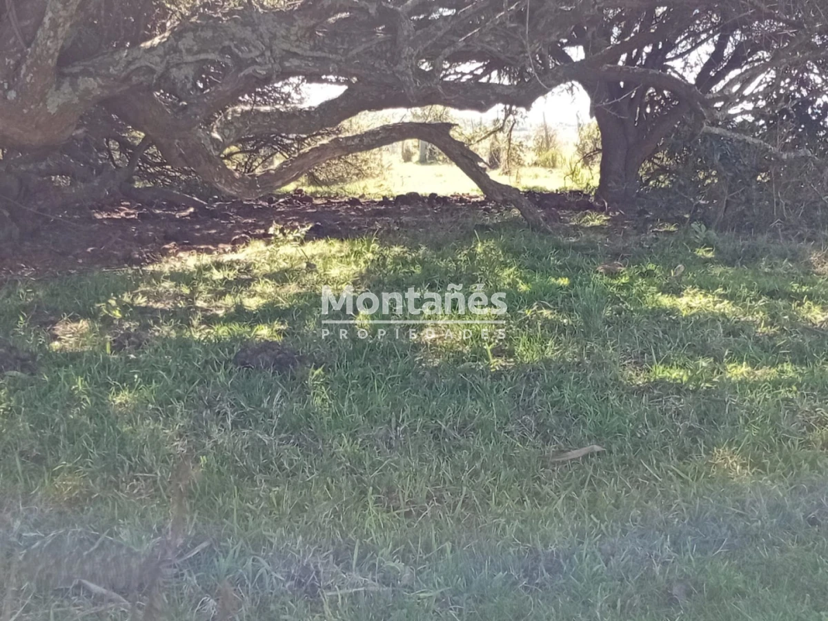 Chacra ID.10498 - Oportunidad de Inversión en Garzón: 5 Hectáreas de Alto Potencial