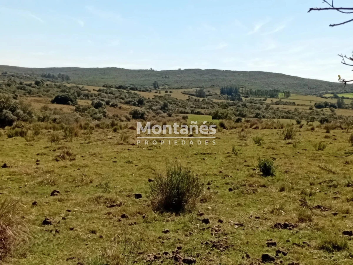 Chacra ID.10498 - Oportunidad de Inversión en Garzón: 5 Hectáreas de Alto Potencial