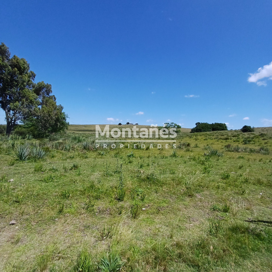 Chacra ID.10478 - Chacras de 3 Has. en Auge: La Oportunidad Natural. 🌳