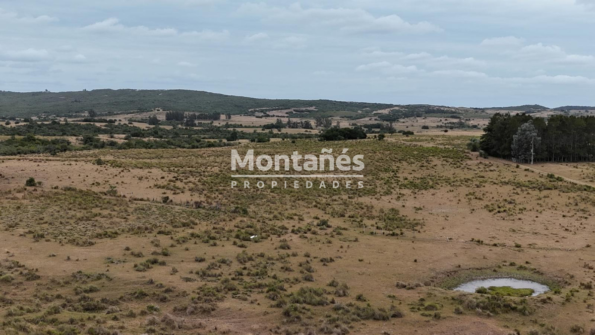 Chacra ID.10498 - 🌿 Chacra de 5 ha a minutos de Pueblo Garzón | Alta plusvalía