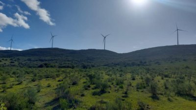 Chacras a la venta en Ruta 39 