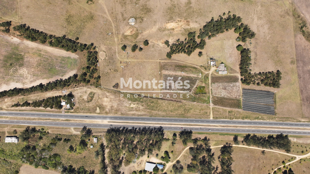 Campo Ref.10489 - VENTA 59 Hectáreas sobre Ruta 9 con Vista a José Ignacio.