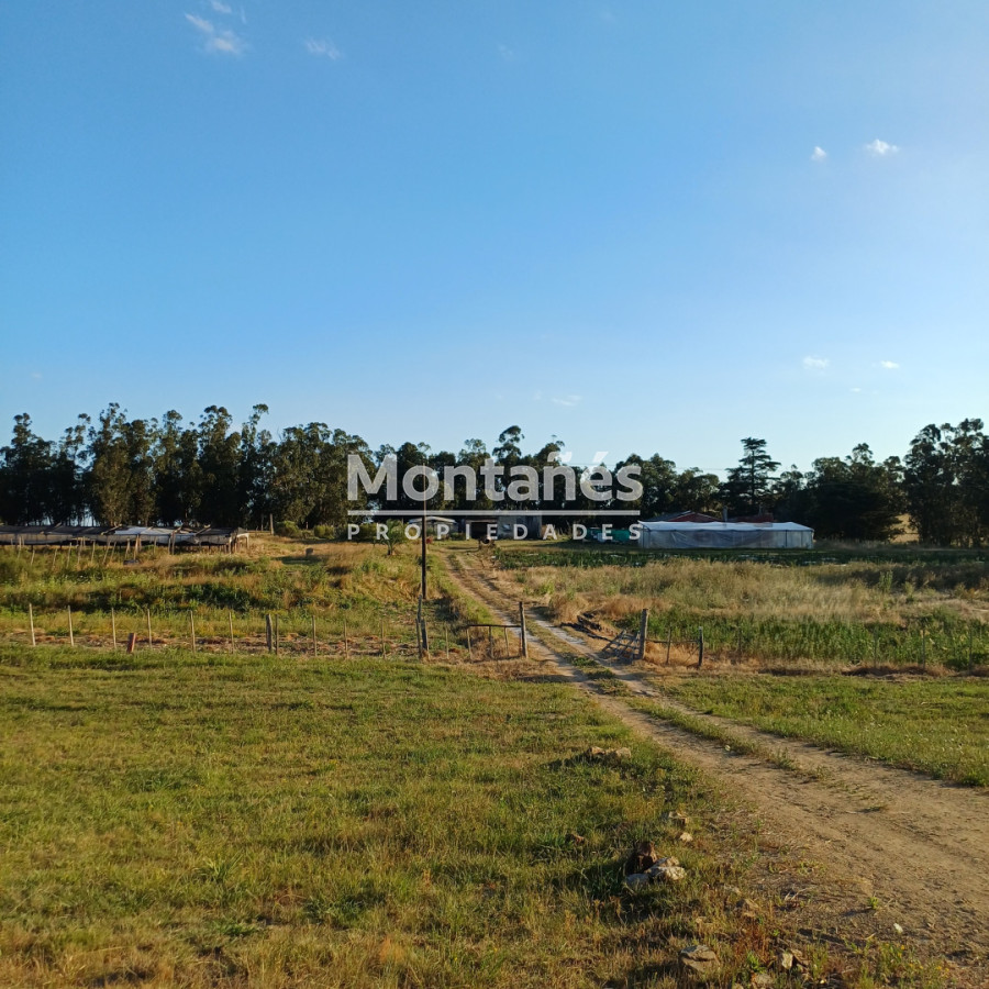 Campo Ref.10489 - 59 Hectáreas sobre Ruta 9 con Vista a José Ignacio.