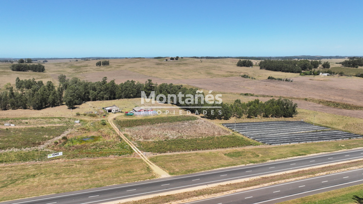 Campo Ref.10489 - VENTA 59 Hectáreas sobre Ruta 9 con Vista a José Ignacio.