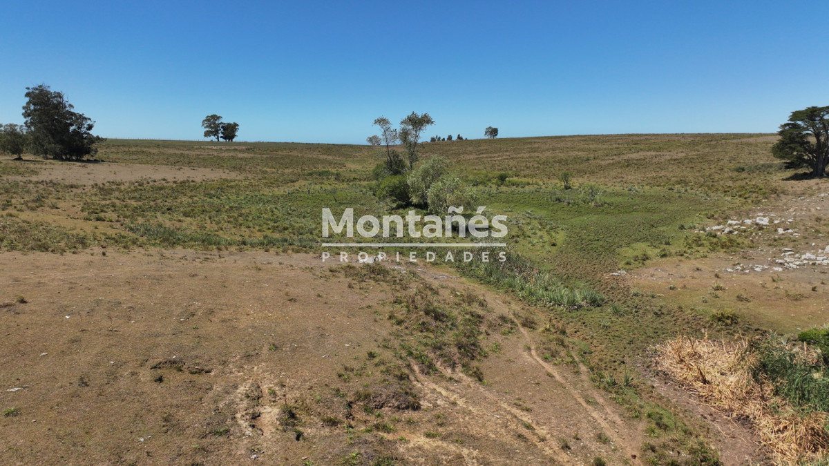 Campo Ref.10489 - VENTA 59 Hectáreas sobre Ruta 9 con Vista a José Ignacio.