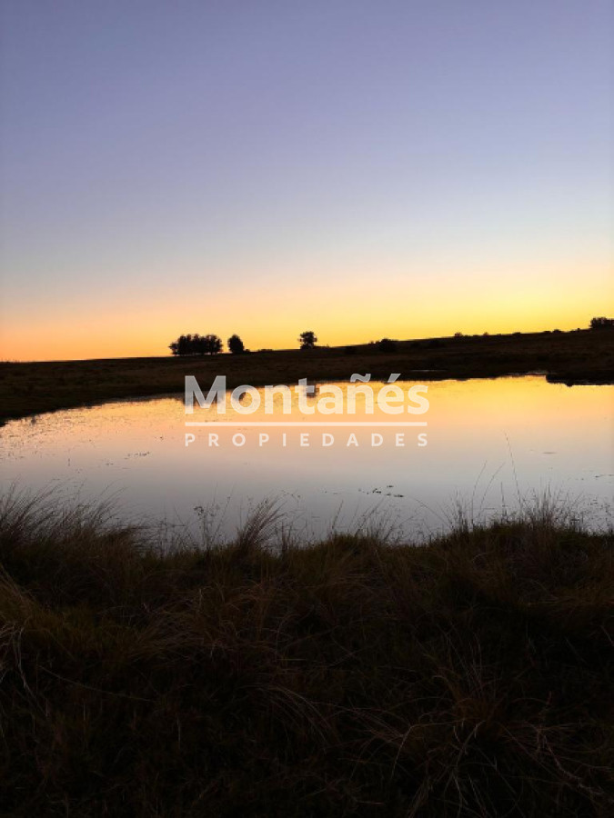 Campo Ref.10387 - Hermoso campo de 21 hectares  con Excelente Ubicación