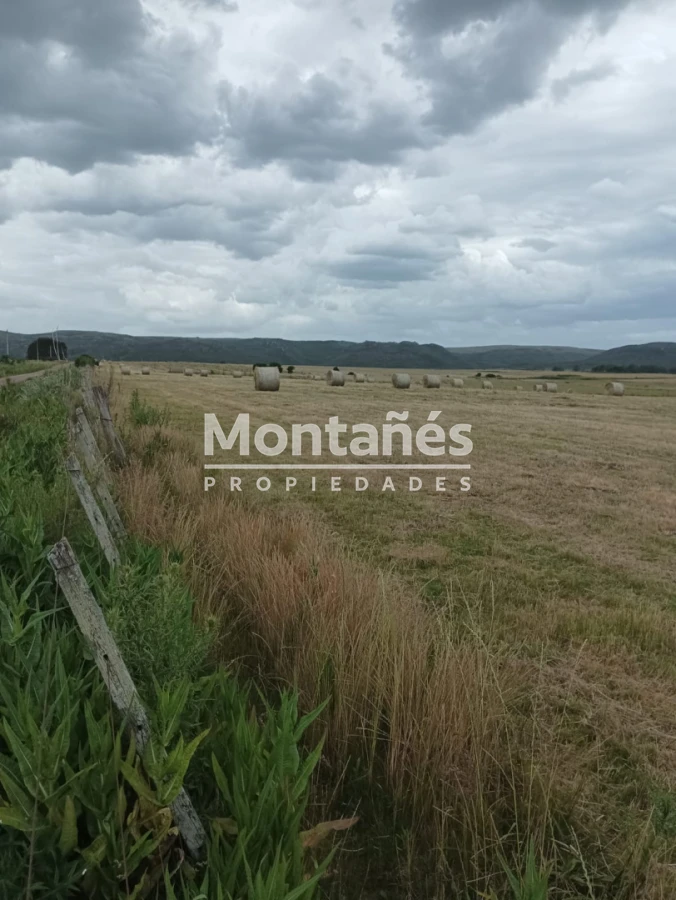 Campo Ref.10562 - VENTA 110 hectáreas estratégicas en Maldonado - Aiguá
