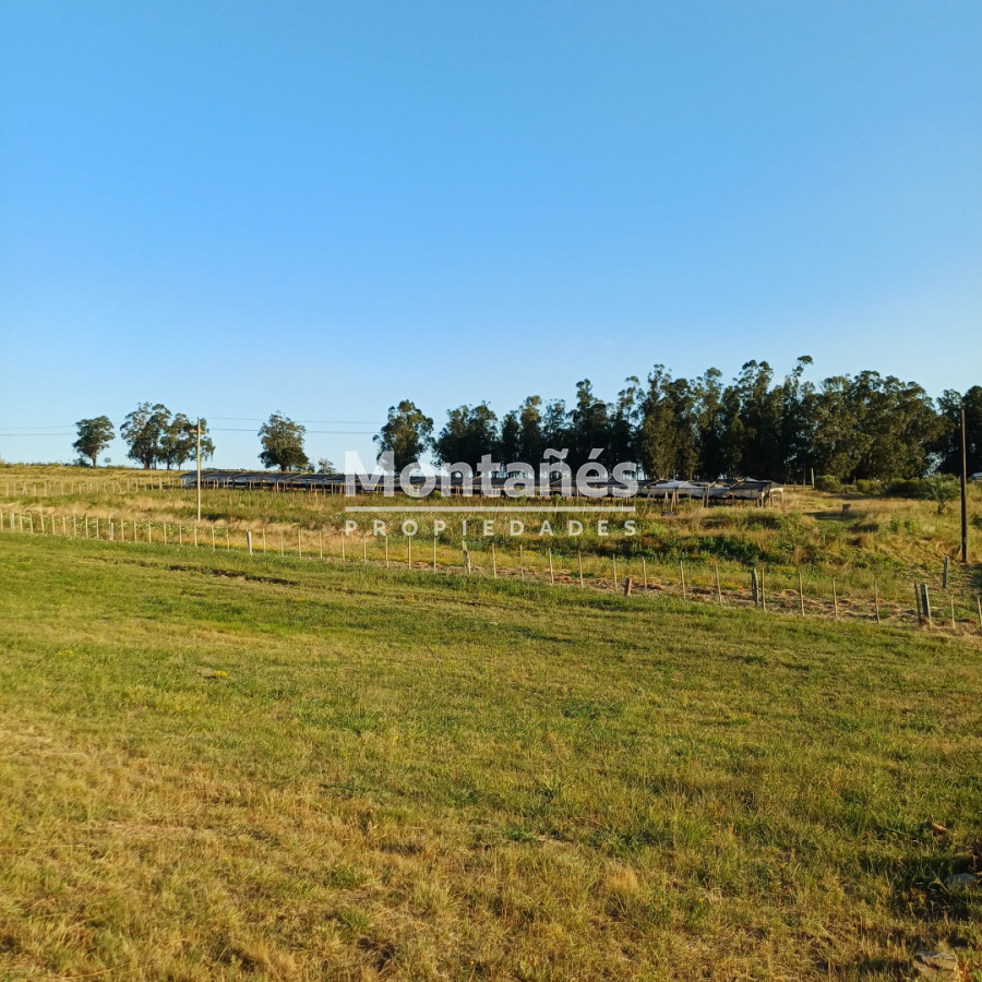 Campo Ref.10489 - 59 Hectáreas sobre Ruta 9 con Vista a José Ignacio.