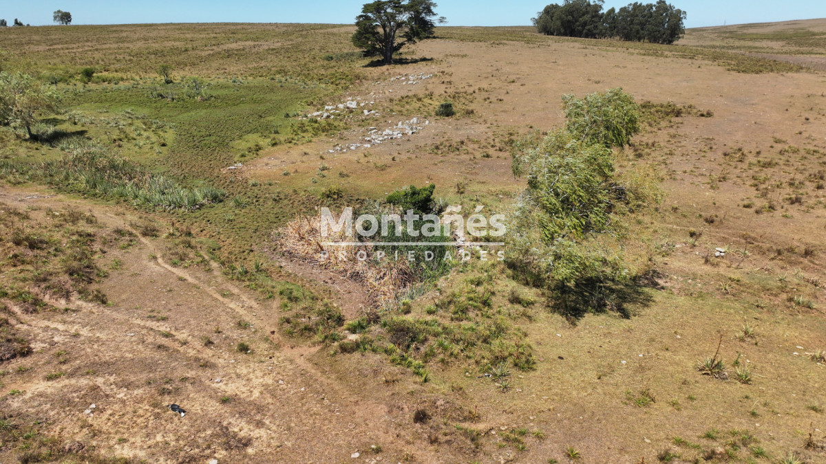 Campo Ref.10489 - VENTA 59 Hectáreas sobre Ruta 9 con Vista a José Ignacio.