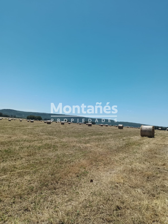 Campo Ref.10562 - VENTA 110 hectáreas estratégicas en Maldonado - Aiguá