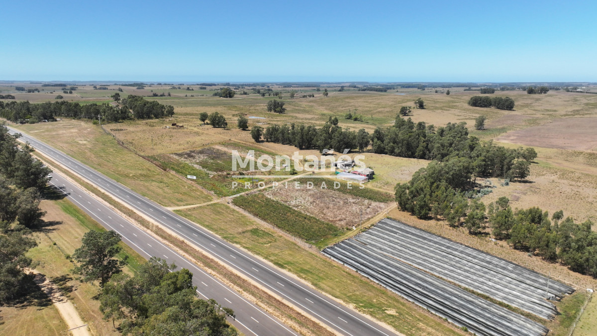 Campo Ref.10489 - VENTA 59 Hectáreas sobre Ruta 9 con Vista a José Ignacio.