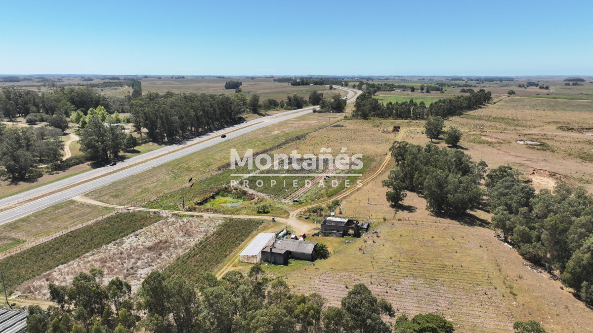 Campo Ref.10489 - VENTA 59 Hectáreas sobre Ruta 9 con Vista a José Ignacio.