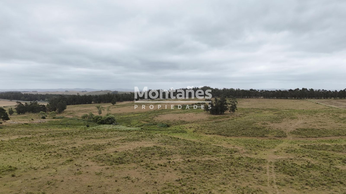 Campo Ref.10489 - 59 Hectáreas sobre Ruta 9 con Vista a José Ignacio.