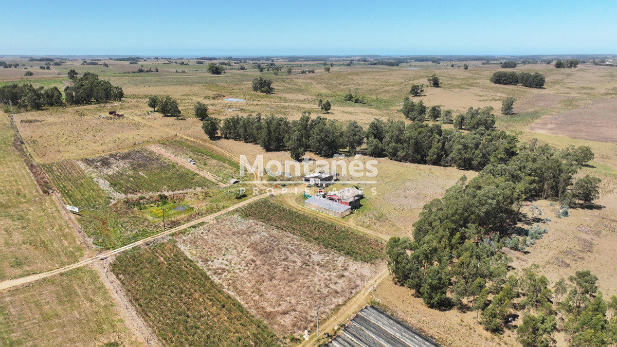 Campo Ref.10489 - VENTA 59 Hectáreas sobre Ruta 9 con Vista a José Ignacio.