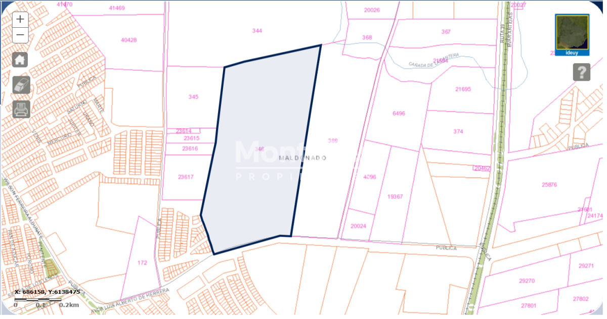Espectacular campo 32 H para fraccionamiento - GoPunta - Portal Inmobiliario de Punta del Este - Maldonado