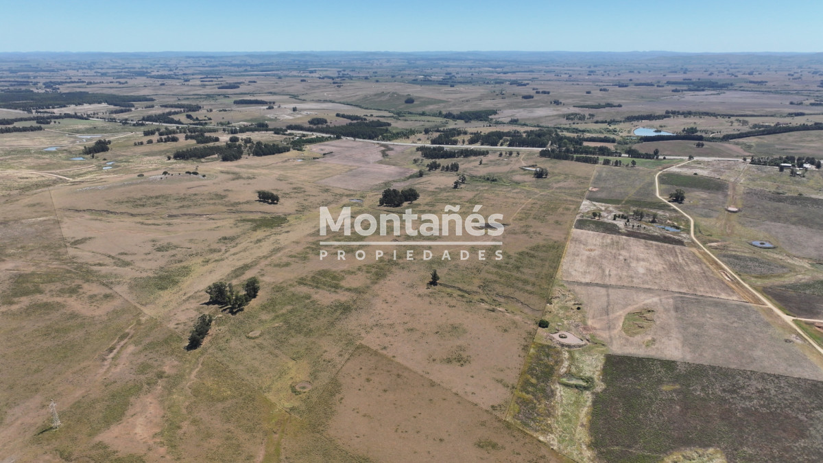 Campo Ref.10489 - VENTA 59 Hectáreas sobre Ruta 9 con Vista a José Ignacio.