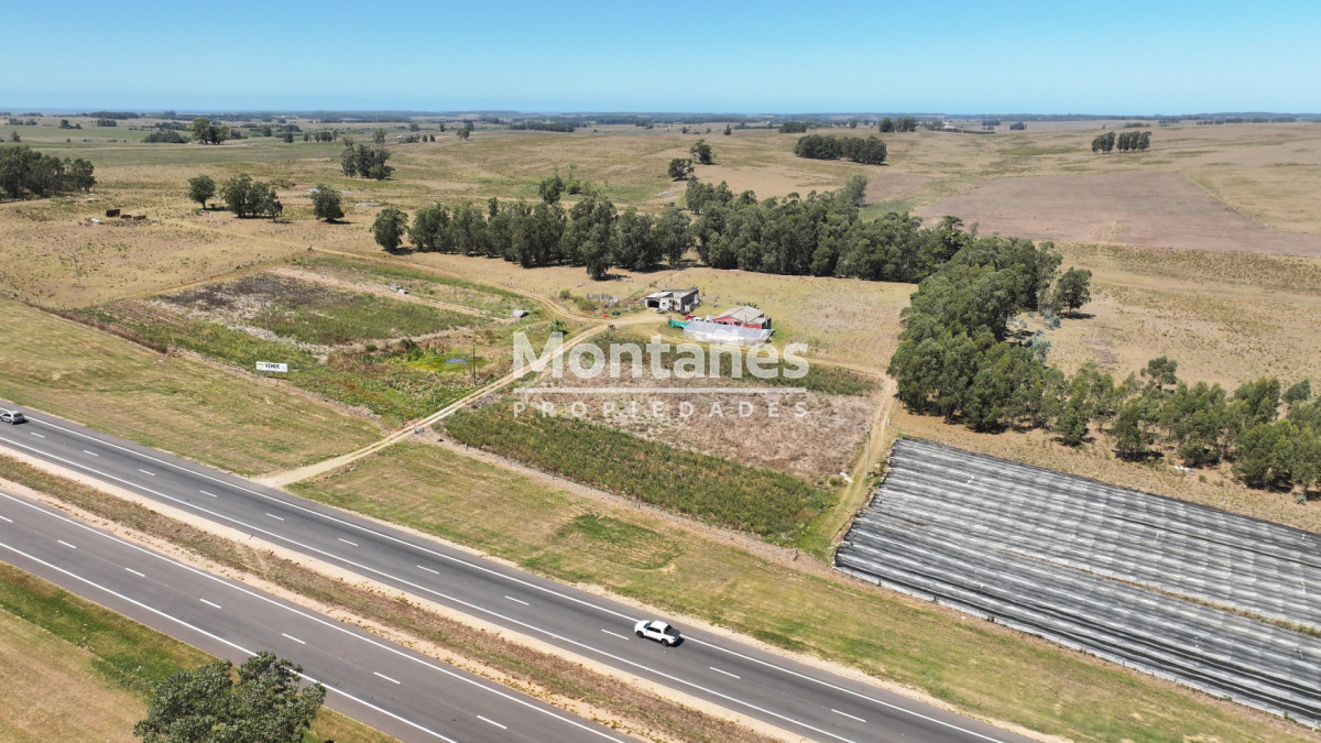 Campo Ref.10489 - VENTA 59 Hectáreas sobre Ruta 9 con Vista a José Ignacio.