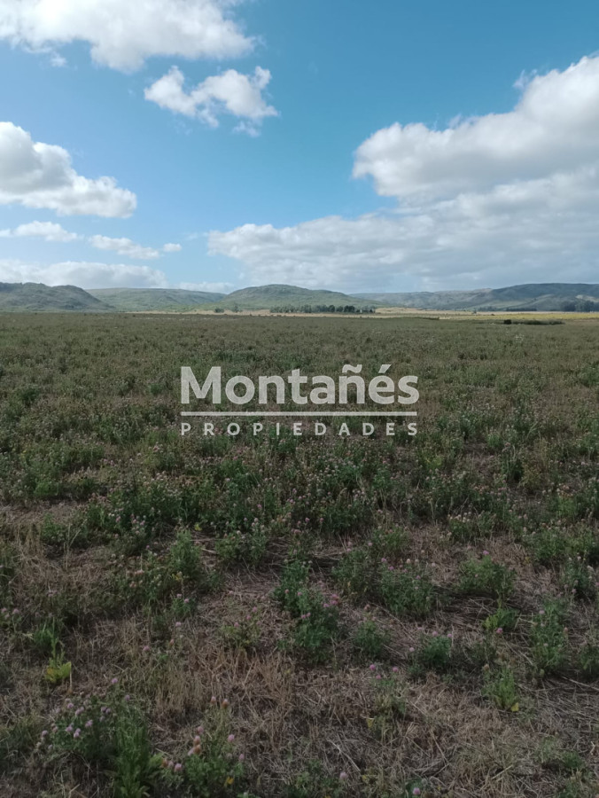 Campo Ref.10562 - VENTA 110 hectáreas estratégicas en Maldonado - Aiguá