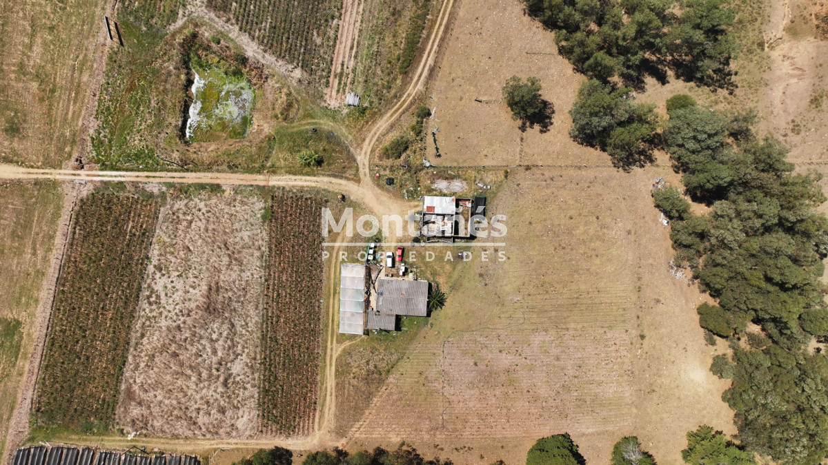 Campo Ref.10489 - VENTA 59 Hectáreas sobre Ruta 9 con Vista a José Ignacio.
