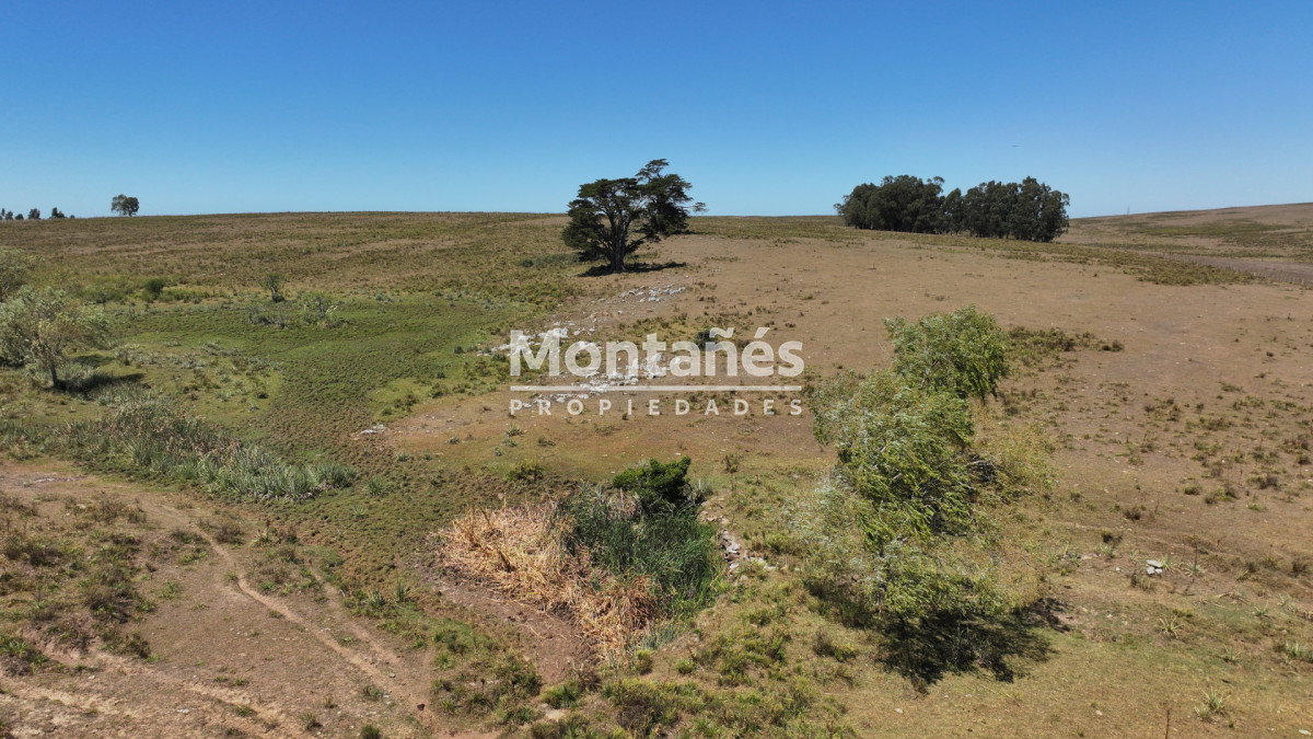 Campo Ref.10489 - VENTA 59 Hectáreas sobre Ruta 9 con Vista a José Ignacio.