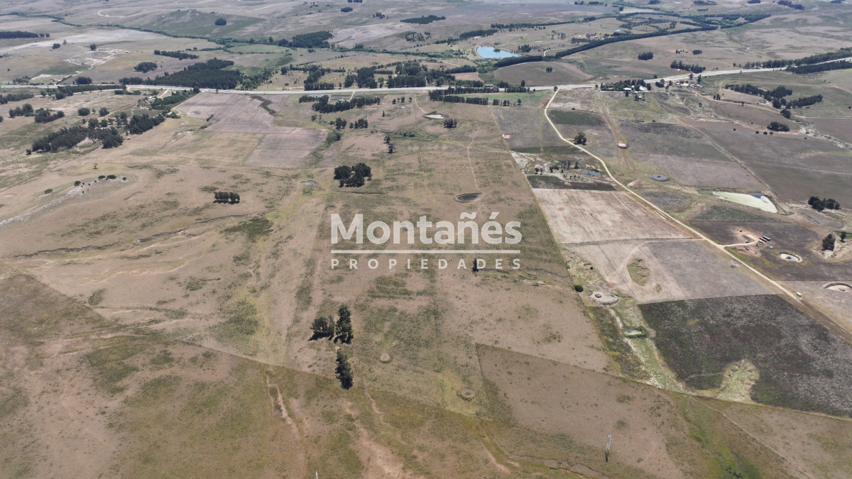 Campo Ref.10489 - VENTA 59 Hectáreas sobre Ruta 9 con Vista a José Ignacio.