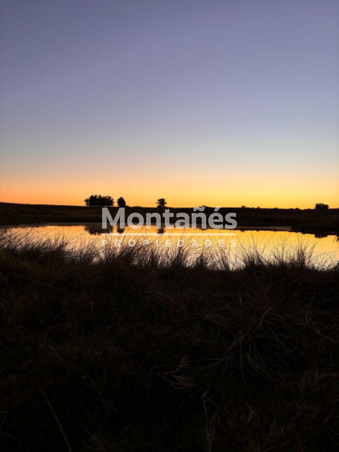 Campo Ref.10387 - Hermoso campo de 21 hectares  con Excelente Ubicación