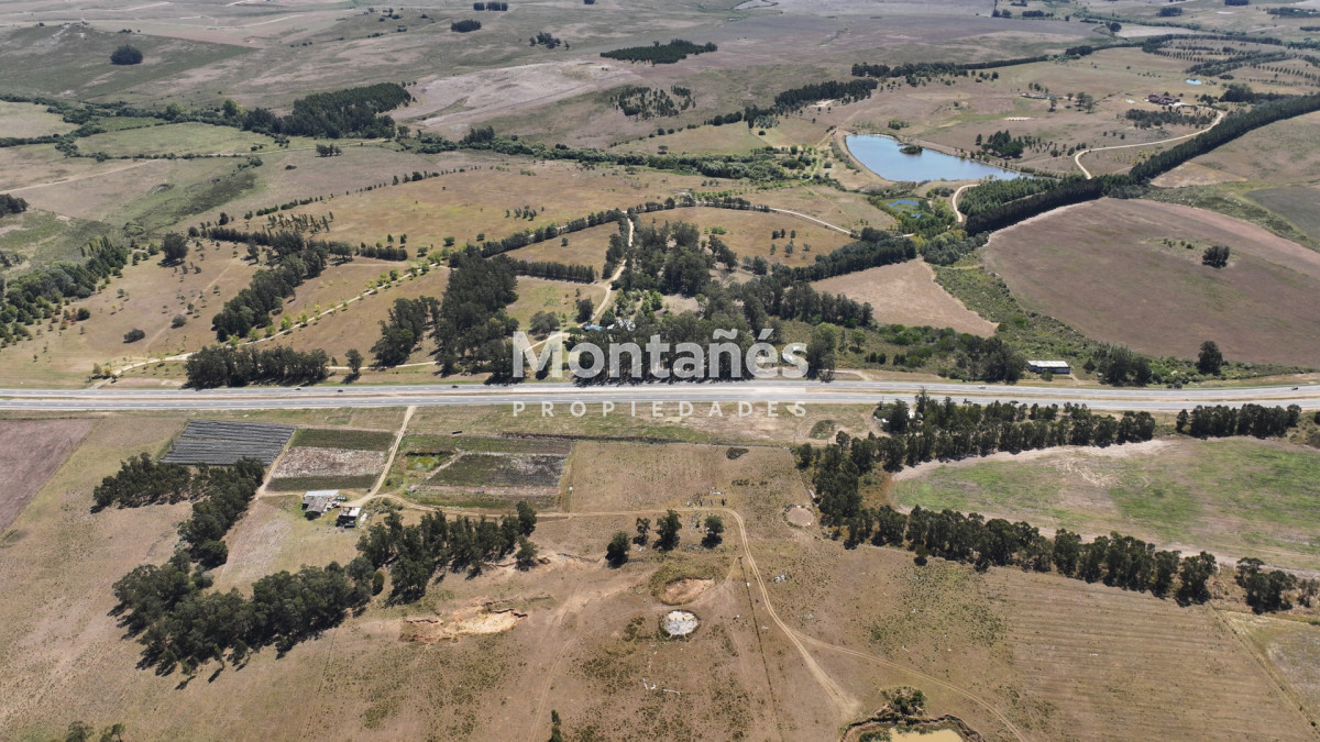 Campo Ref.10489 - VENTA 59 Hectáreas sobre Ruta 9 con Vista a José Ignacio.