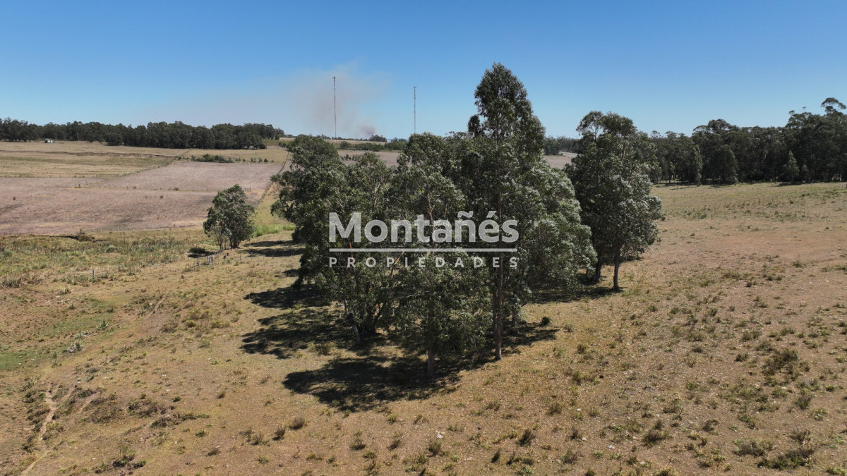 Campo Ref.10489 - VENTA 59 Hectáreas sobre Ruta 9 con Vista a José Ignacio.