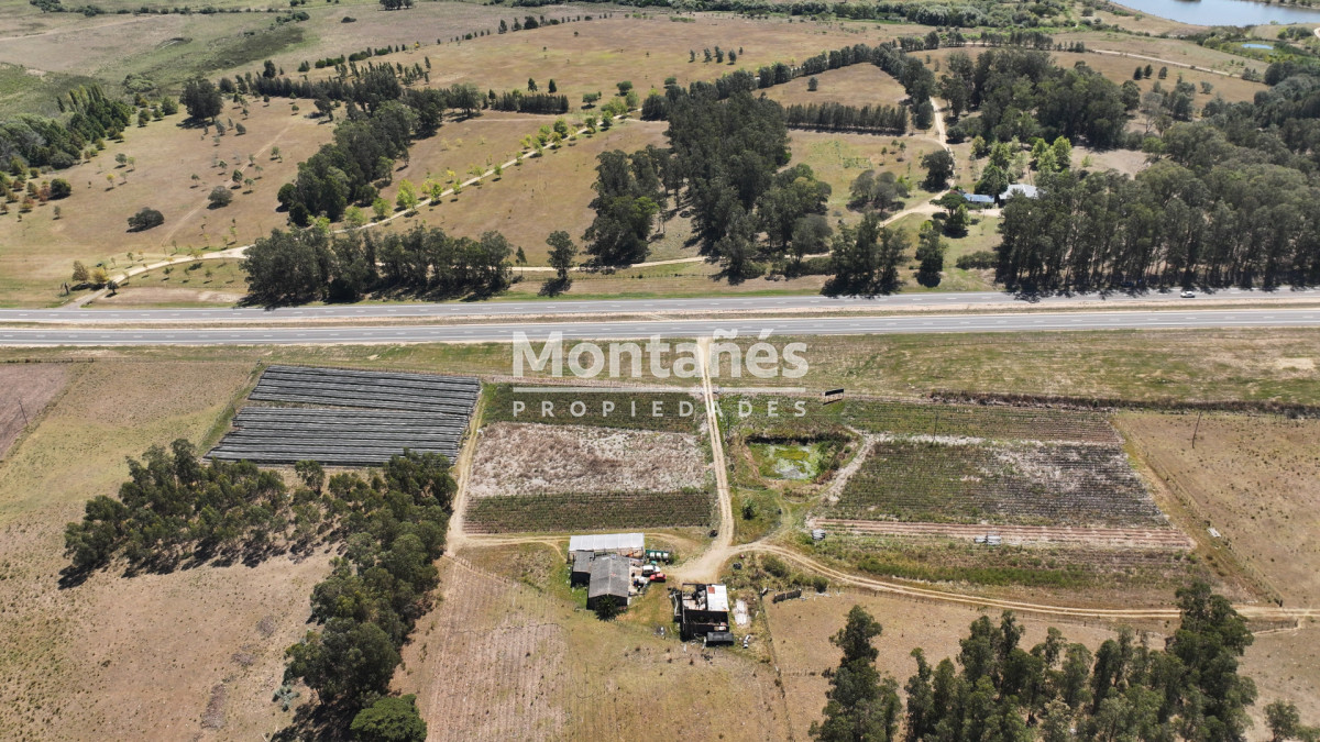 Campo Ref.10489 - VENTA 59 Hectáreas sobre Ruta 9 con Vista a José Ignacio.