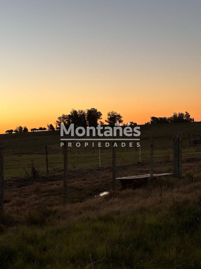 Campo Ref.10387 - Hermoso campo de 21 hectares  con Excelente Ubicación
