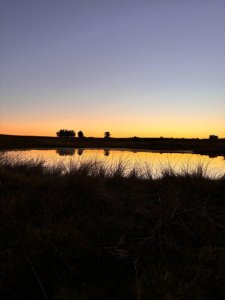 Hermoso campo de 21 hectares  con Excelente Ubicación