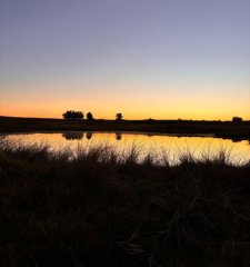 Hermoso campo de 21 hectares  con Excelente Ubicación